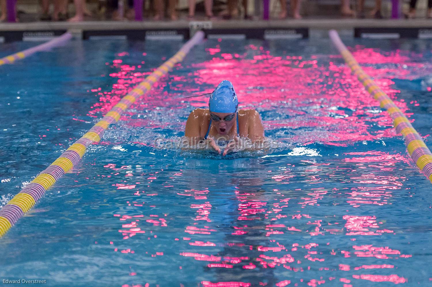 SwimvsWK-SHS-Gaf-123.jpg