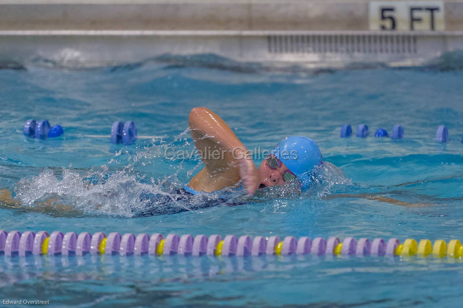 SwimvsWK-SHS-Gaf-72.jpg