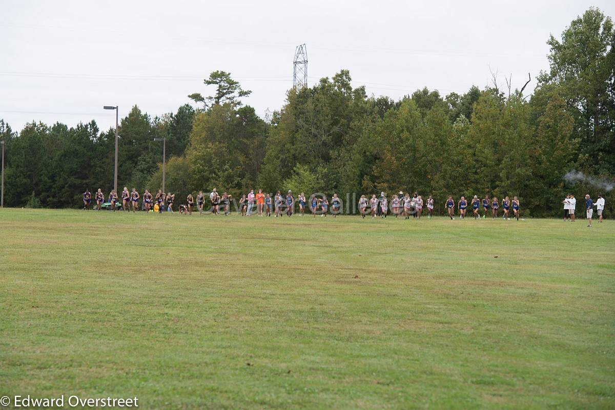 Dorman Classic XC-1.jpg