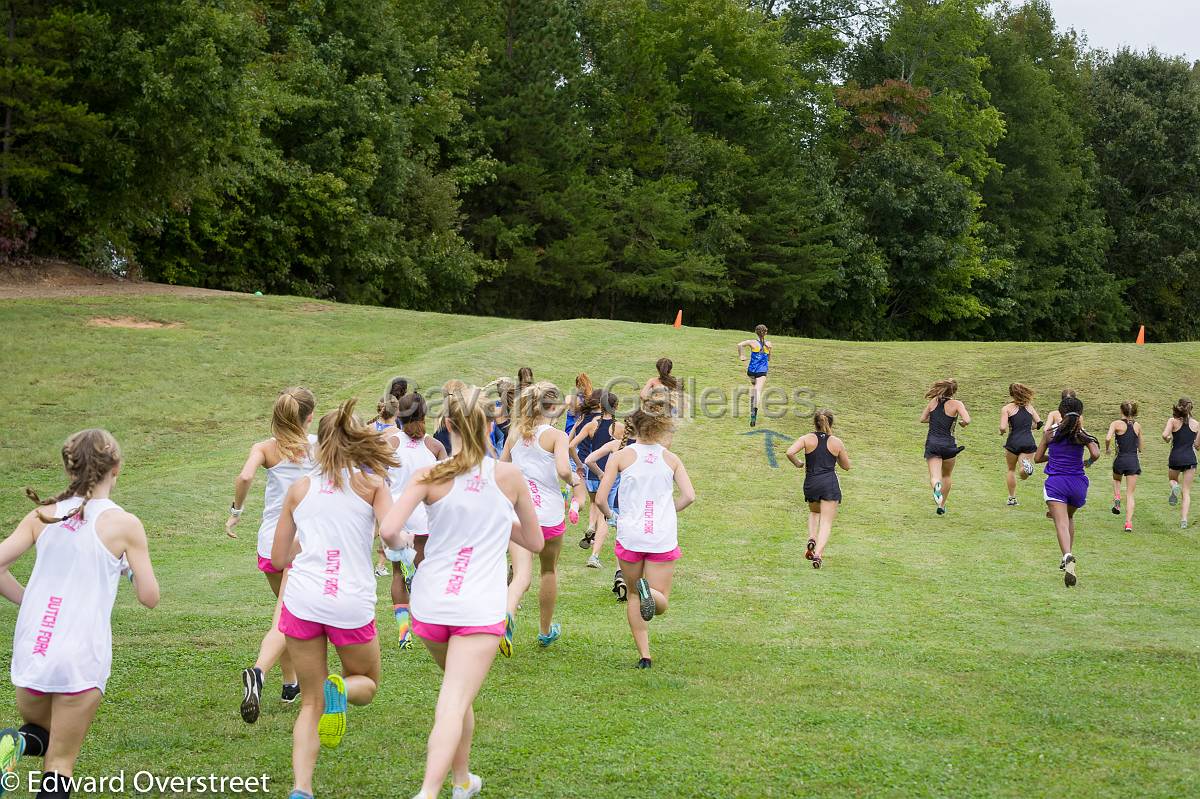 Dorman Classic XC-18.jpg