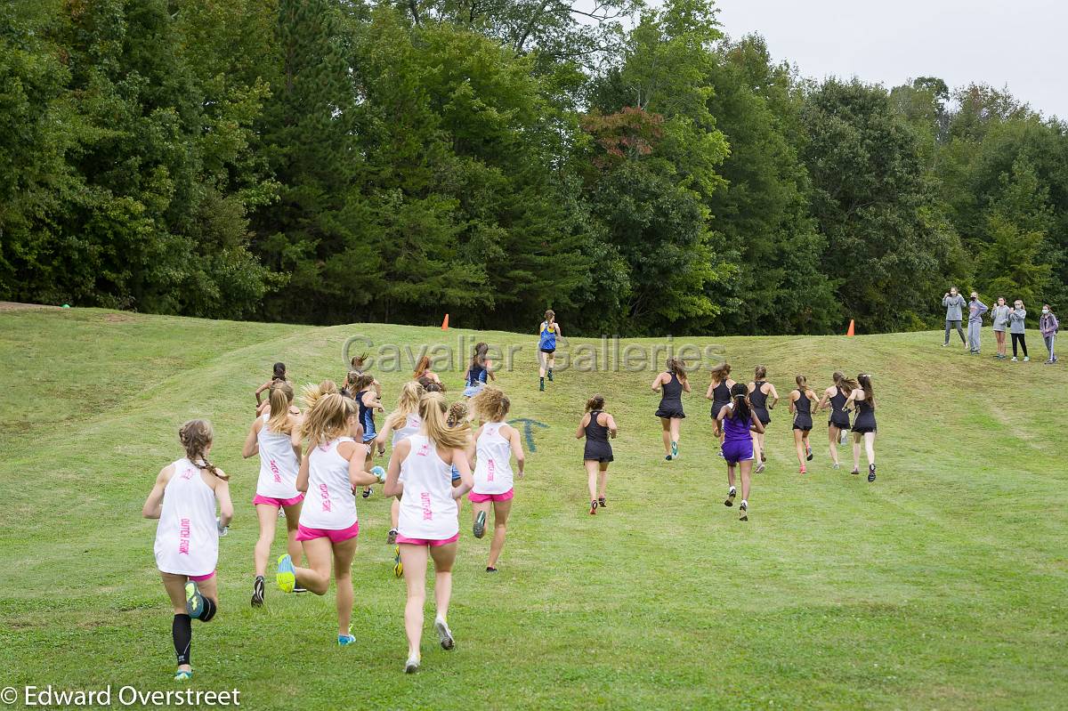 Dorman Classic XC-19.jpg