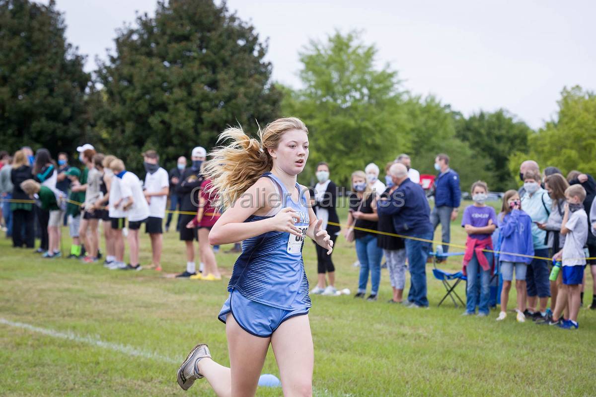 Dorman Classic XC-193.jpg