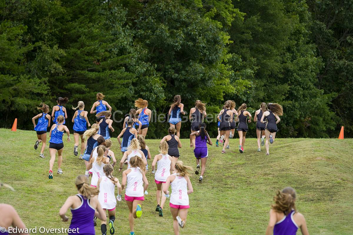 Dorman Classic XC-21.jpg