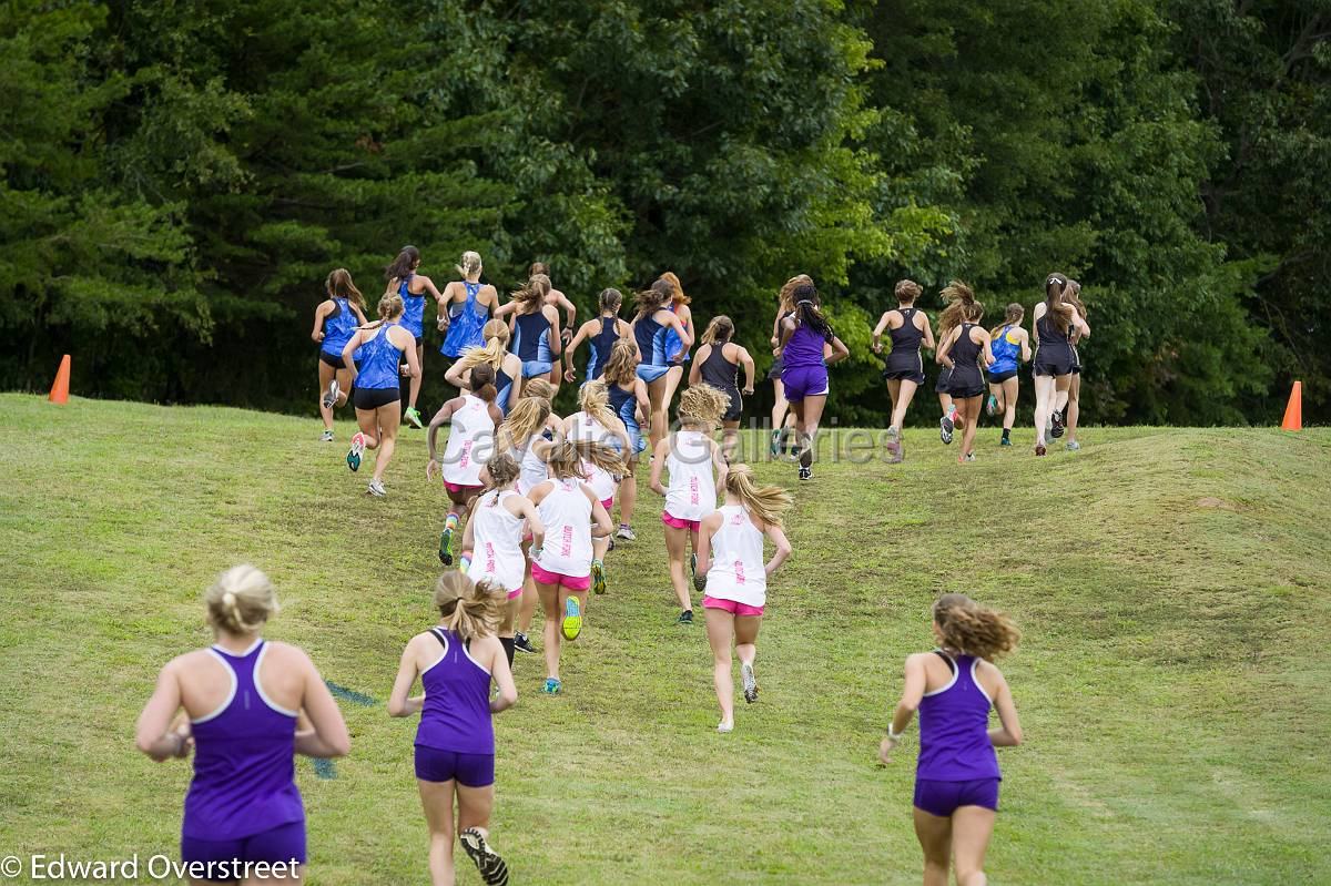 Dorman Classic XC-22.jpg