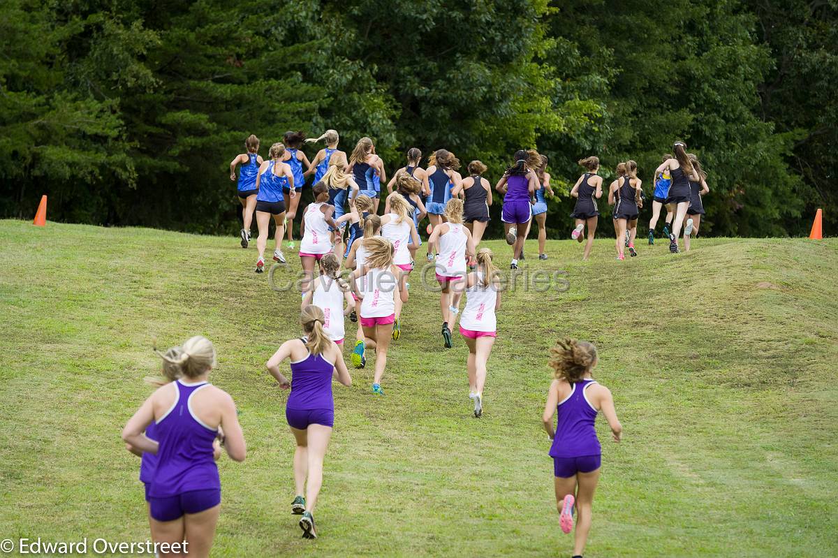 Dorman Classic XC-23.jpg