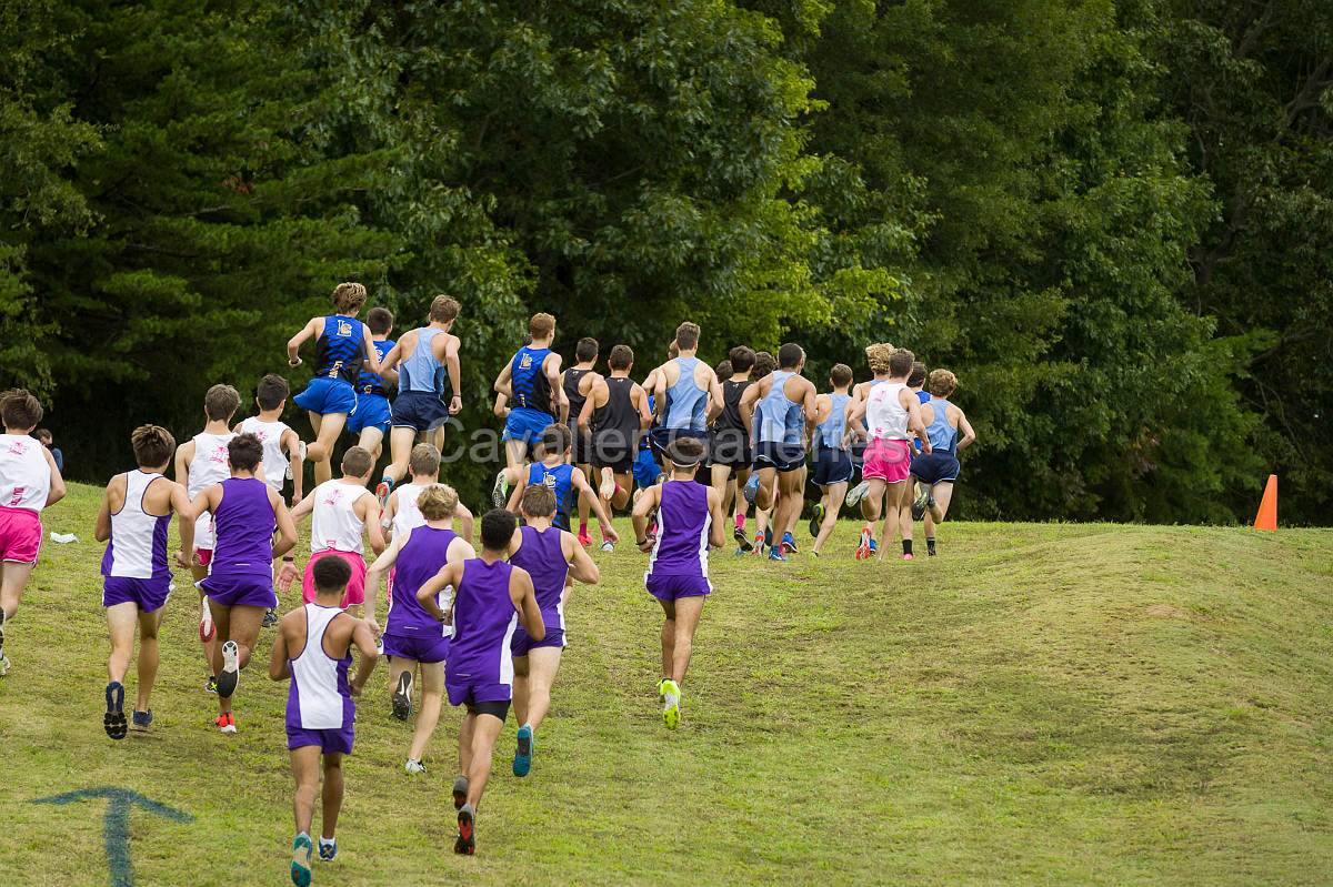 Dorman Classic XC-232.jpg