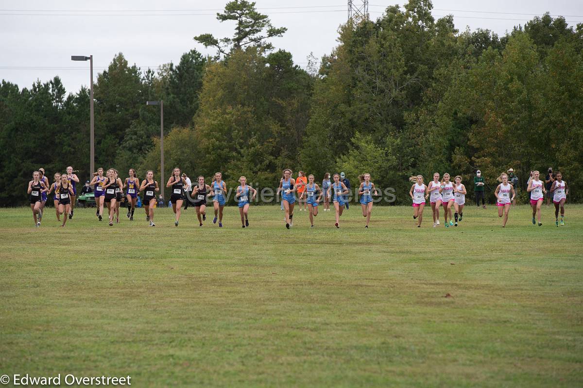 Dorman Classic XC-3.jpg