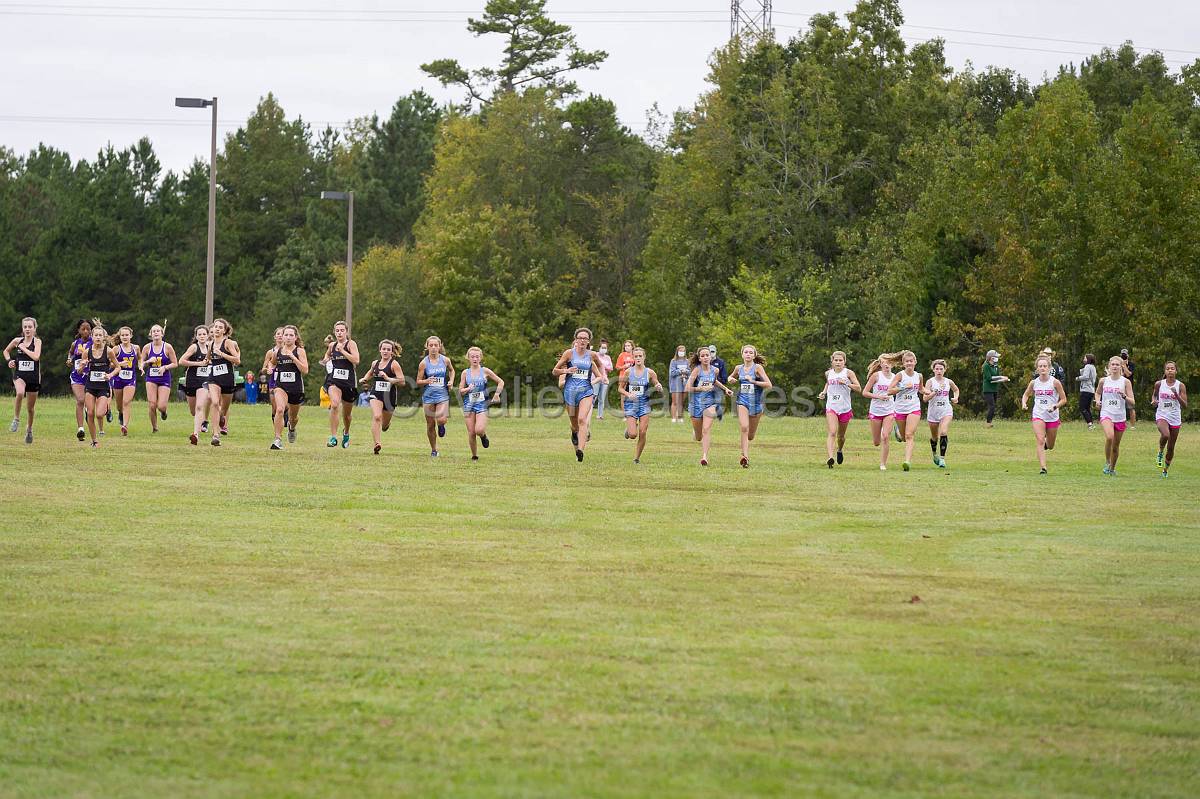 Dorman Classic XC-341.jpg