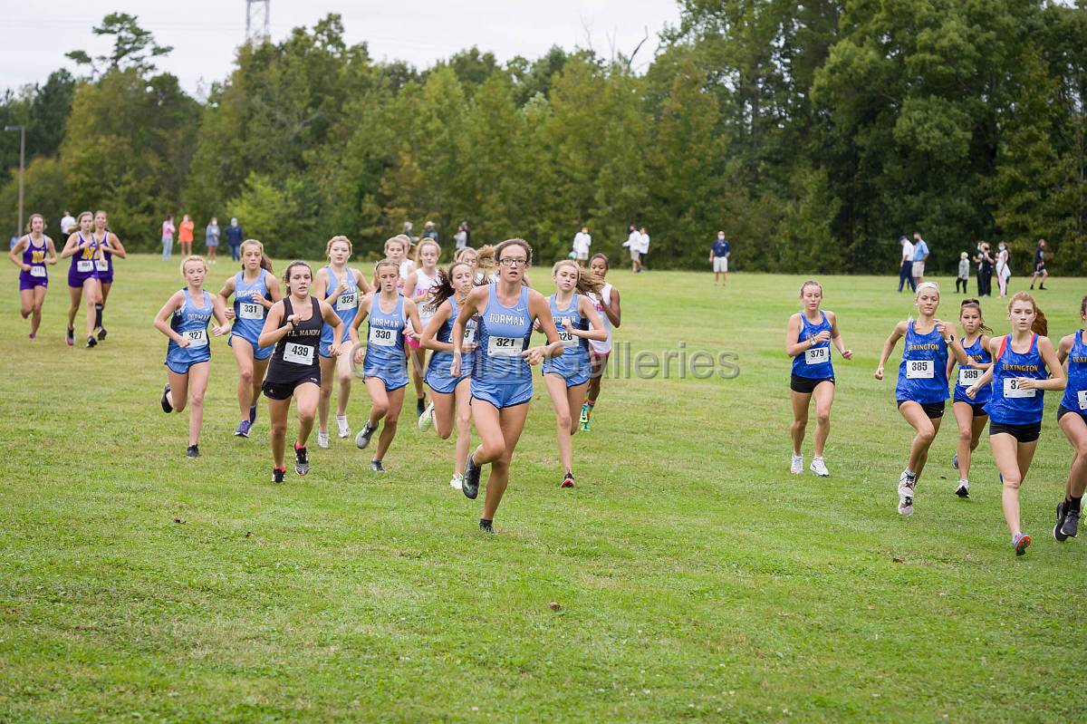 Dorman Classic XC-345.jpg