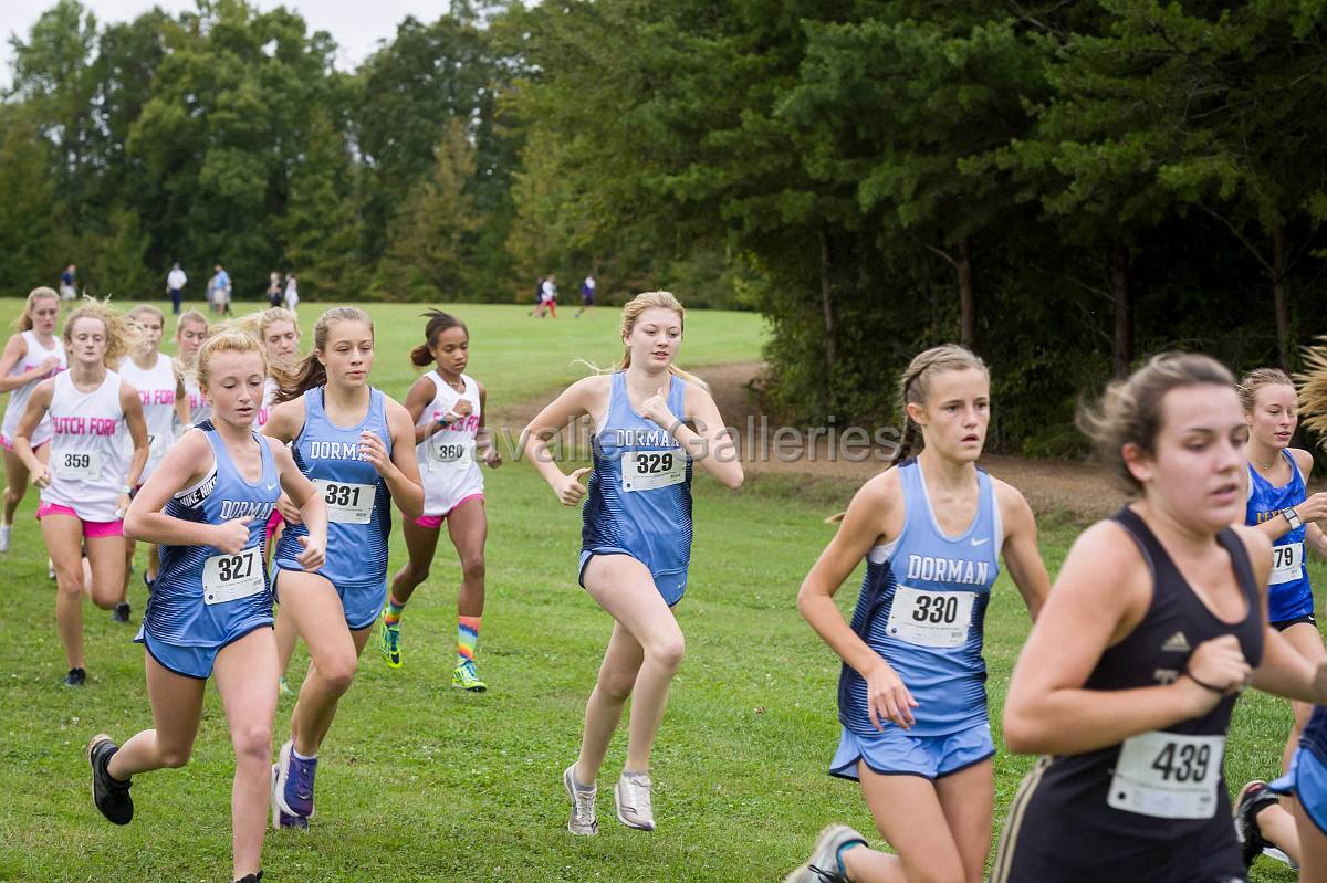 Dorman Classic XC-355.jpg