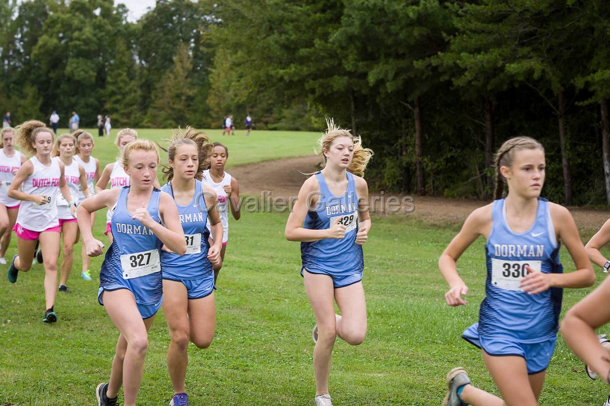 Dorman Classic XC-356.jpg