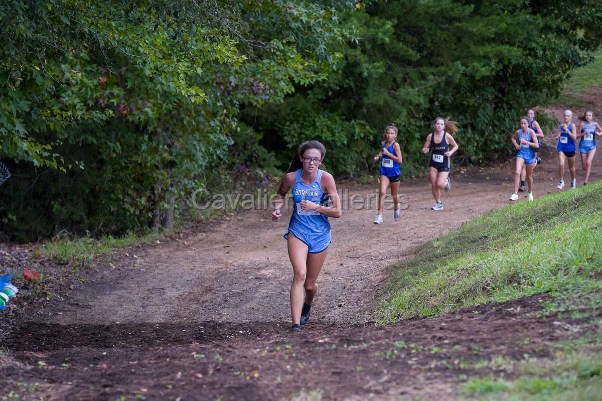 Dorman Classic XC-364.jpg