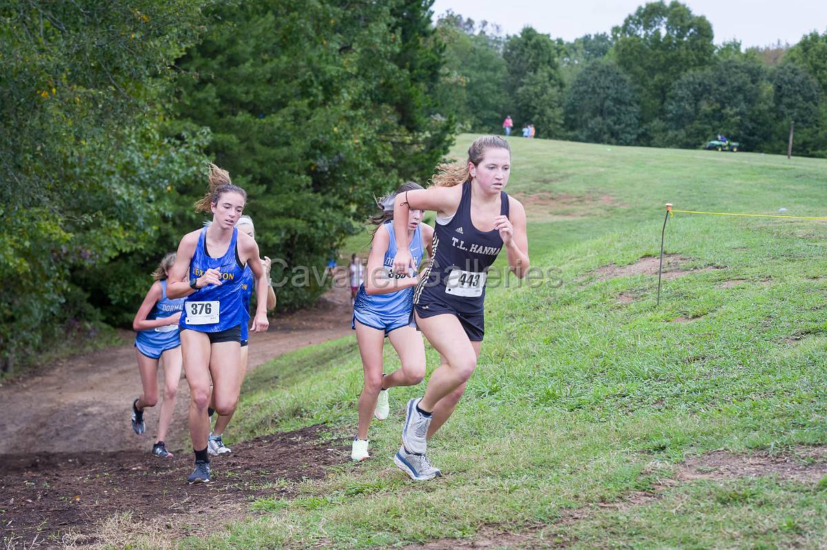 Dorman Classic XC-367.jpg