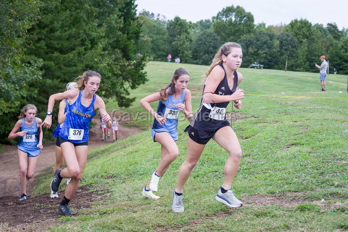 Dorman Classic XC-369.jpg