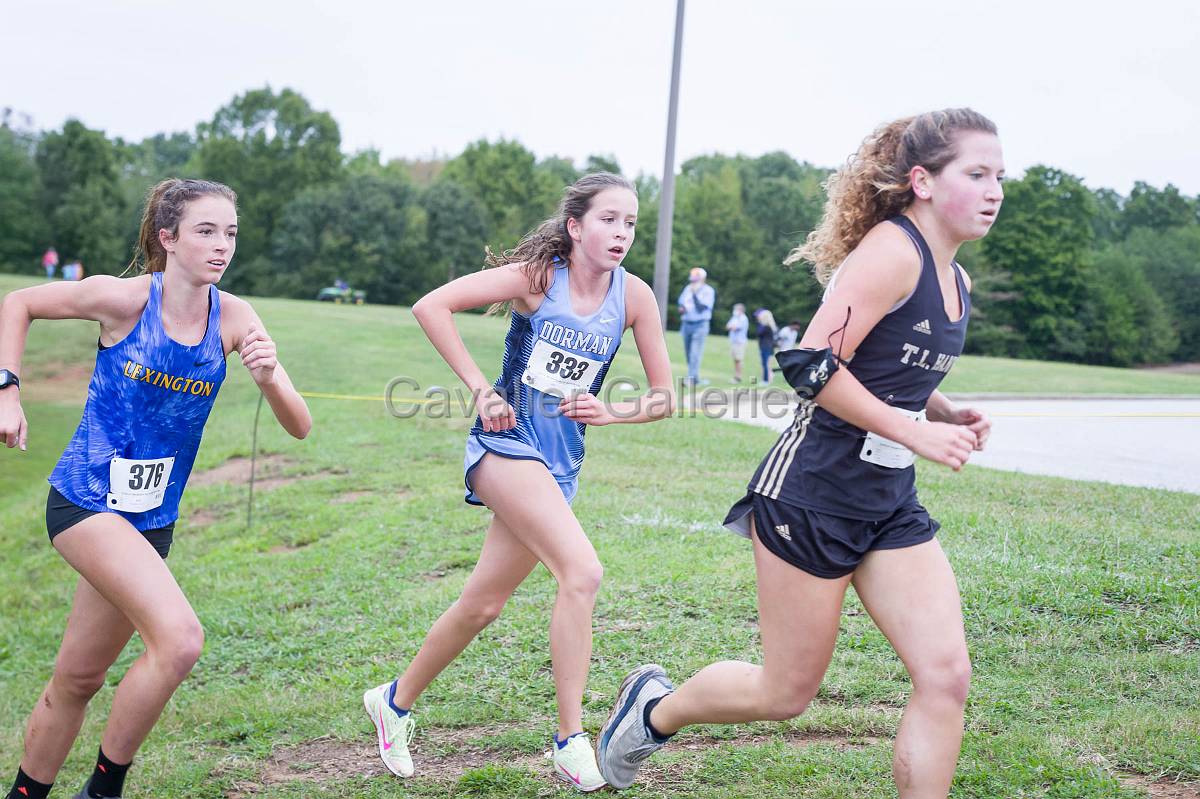 Dorman Classic XC-373.jpg