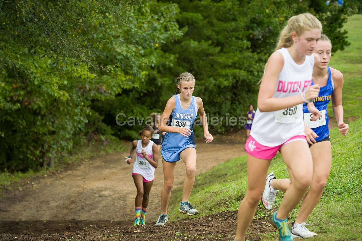 Dorman Classic XC-379.jpg