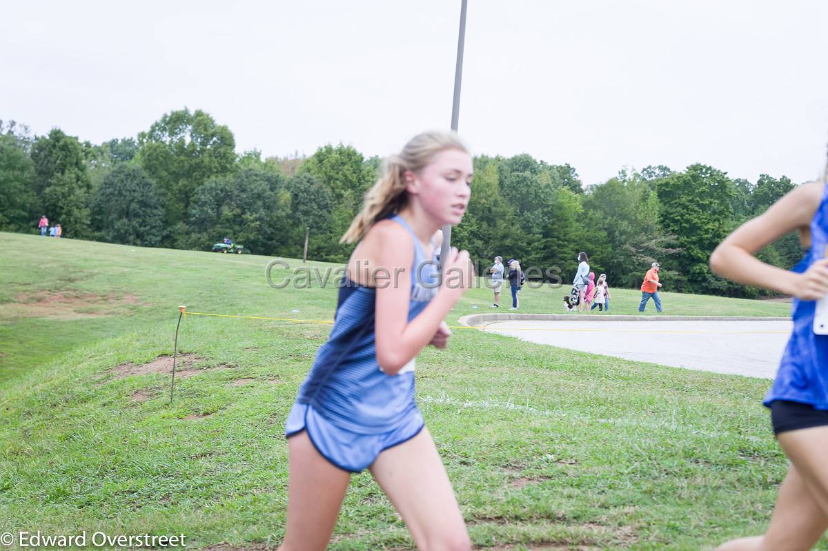 Dorman Classic XC-38.jpg