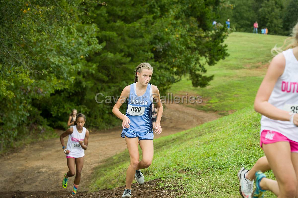 Dorman Classic XC-380.jpg