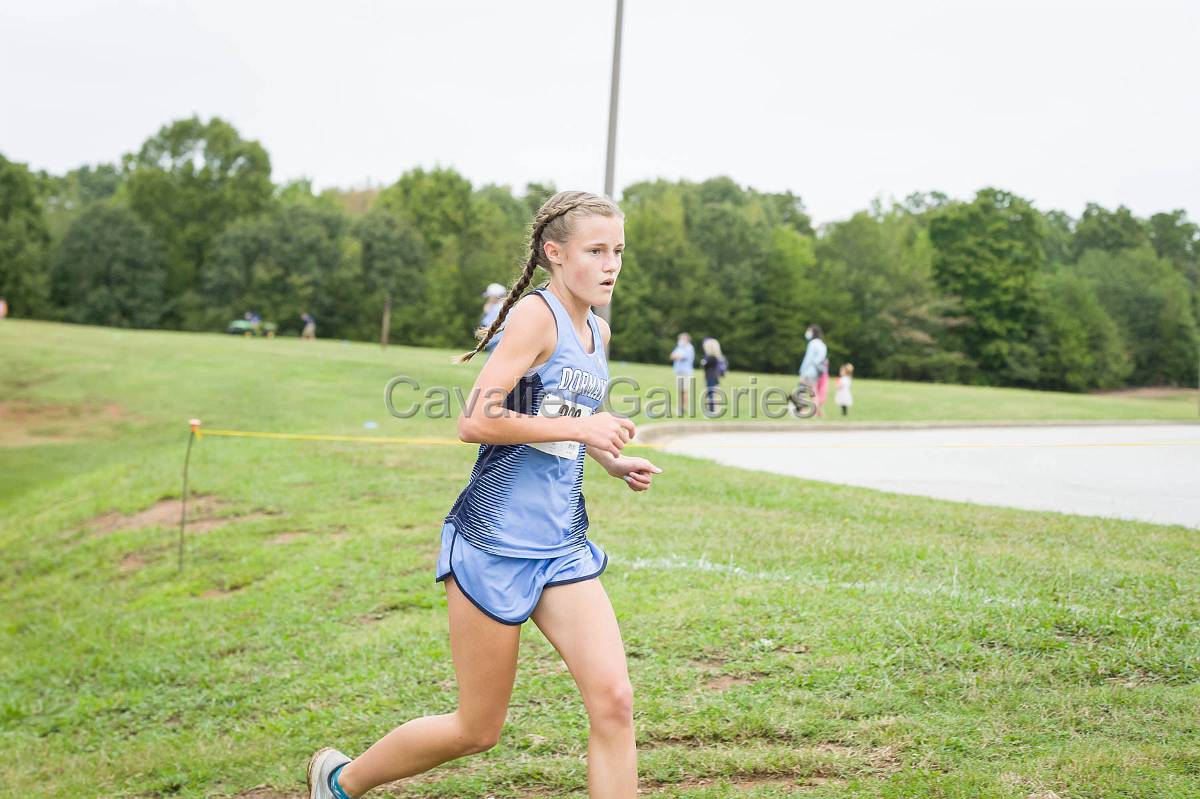 Dorman Classic XC-382.jpg