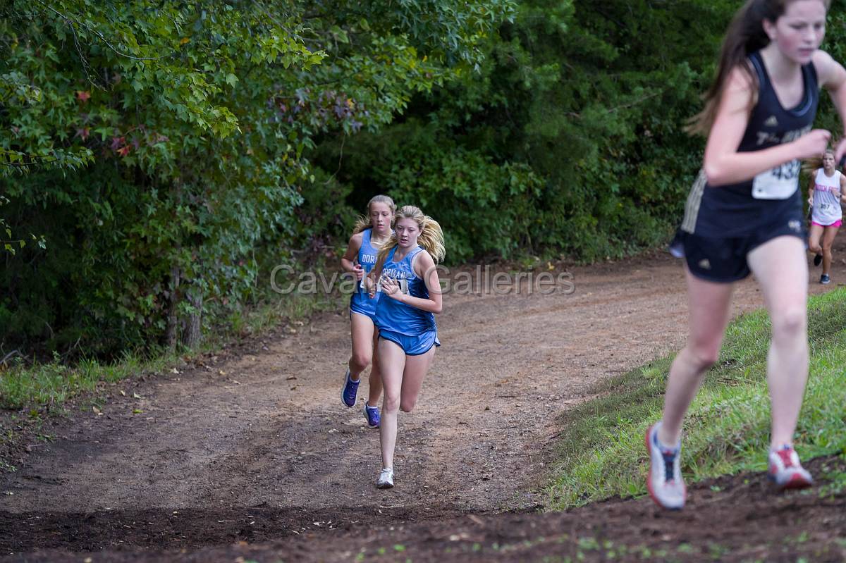 Dorman Classic XC-383.jpg