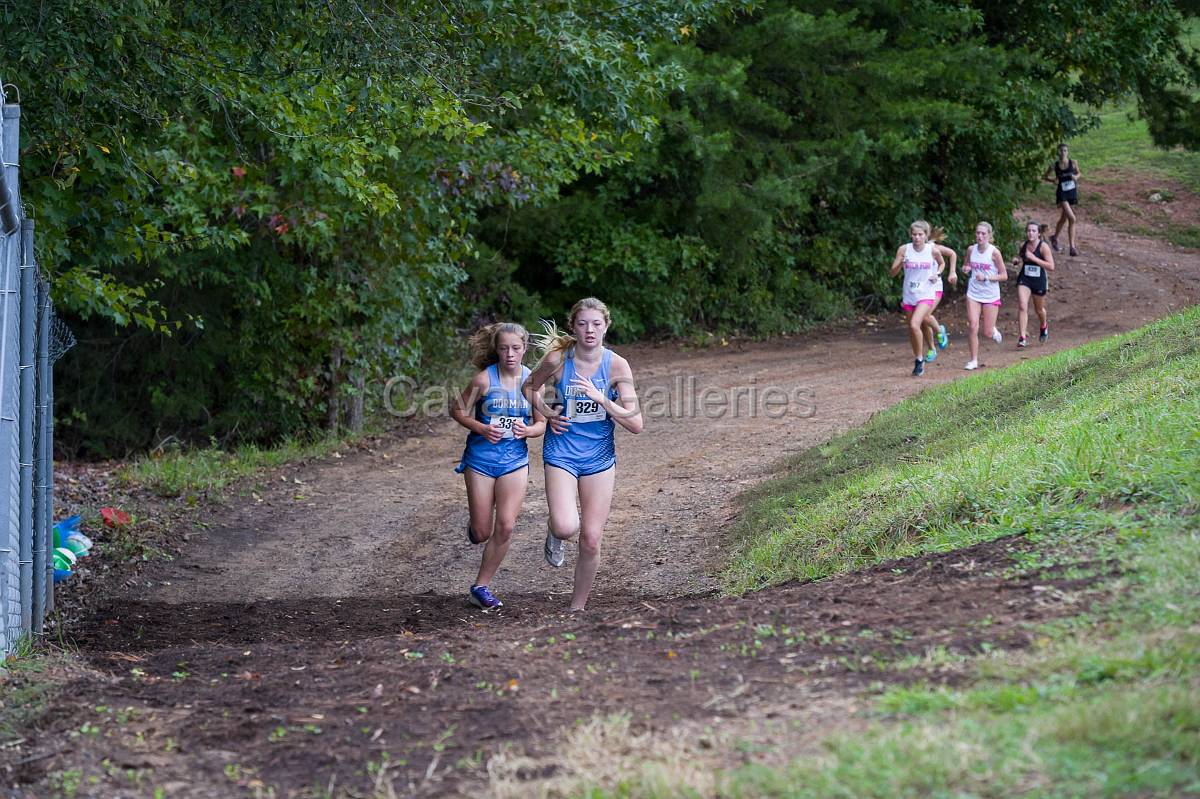 Dorman Classic XC-384.jpg