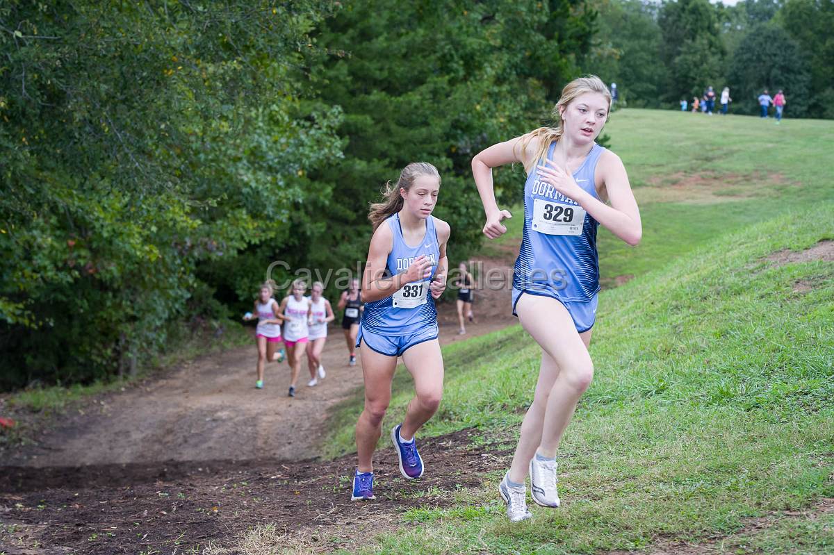 Dorman Classic XC-387.jpg