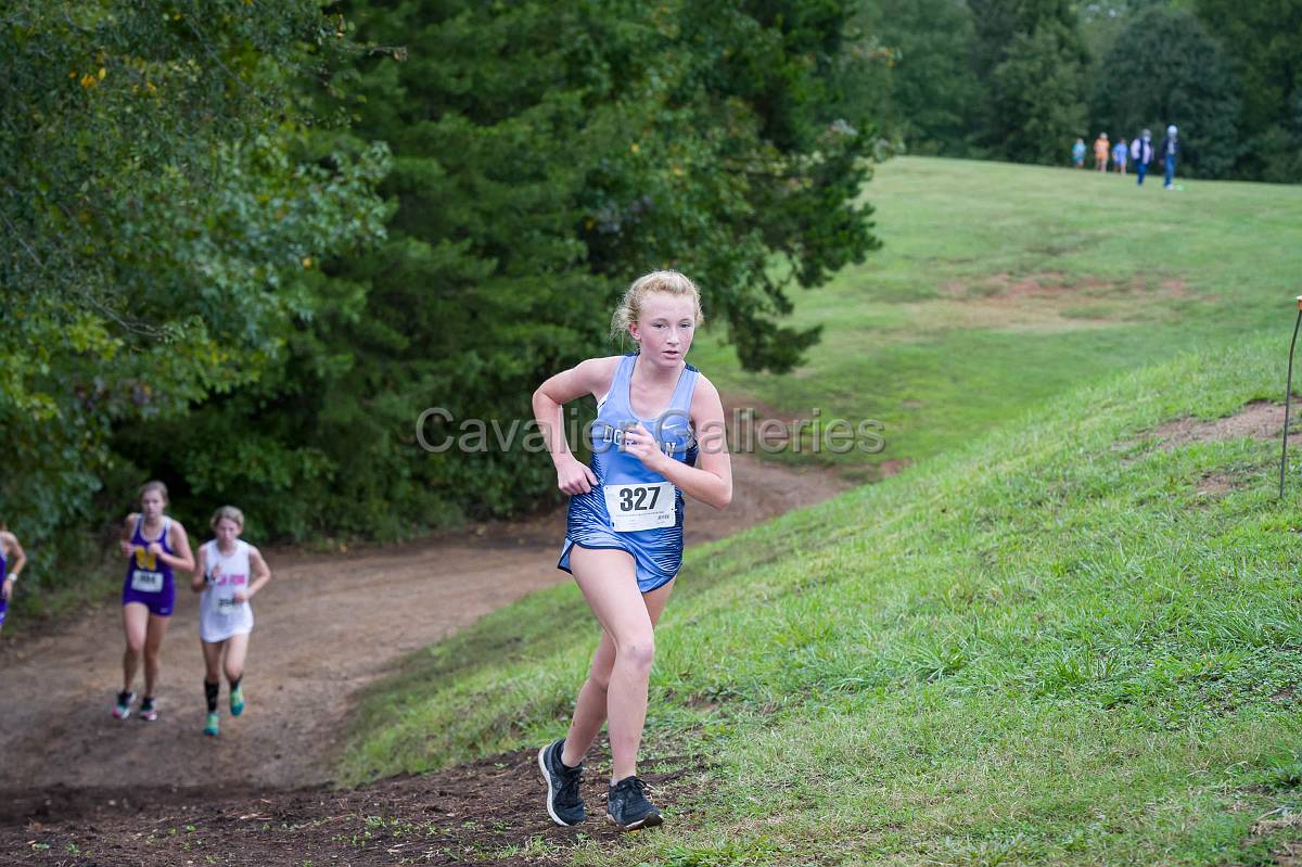 Dorman Classic XC-392.jpg