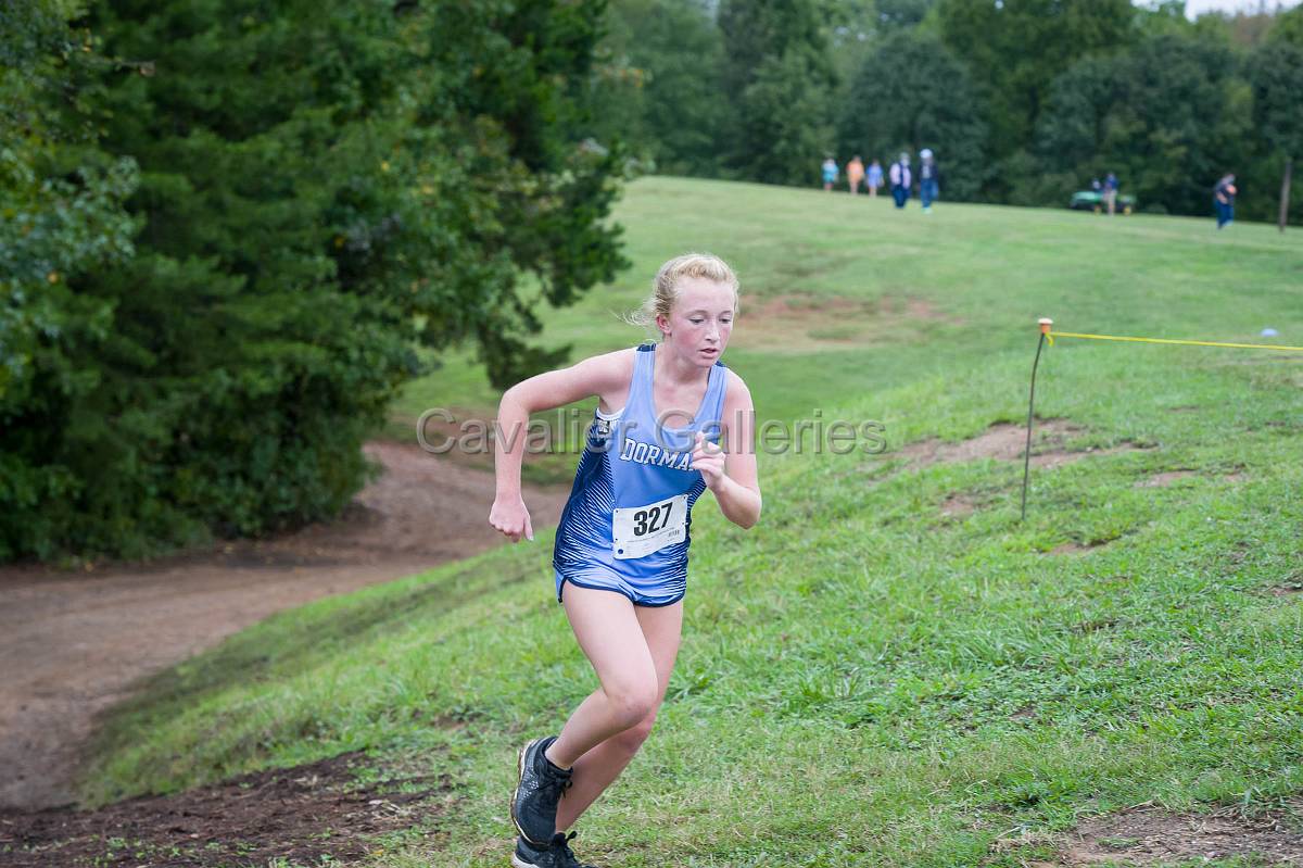 Dorman Classic XC-393.jpg