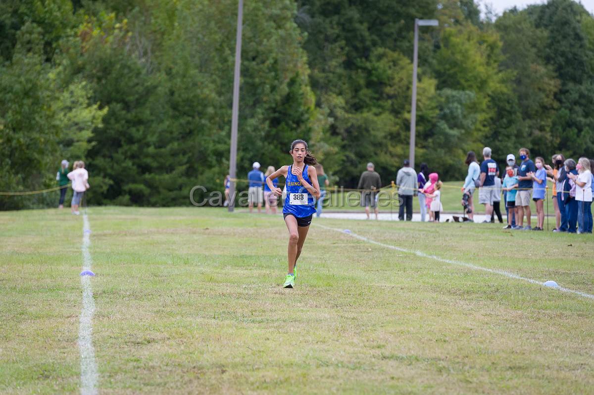 Dorman Classic XC-430.jpg