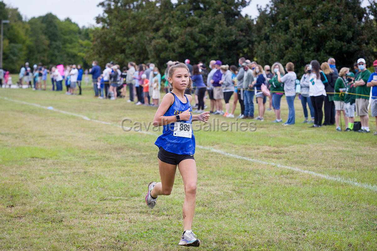 Dorman Classic XC-433.jpg