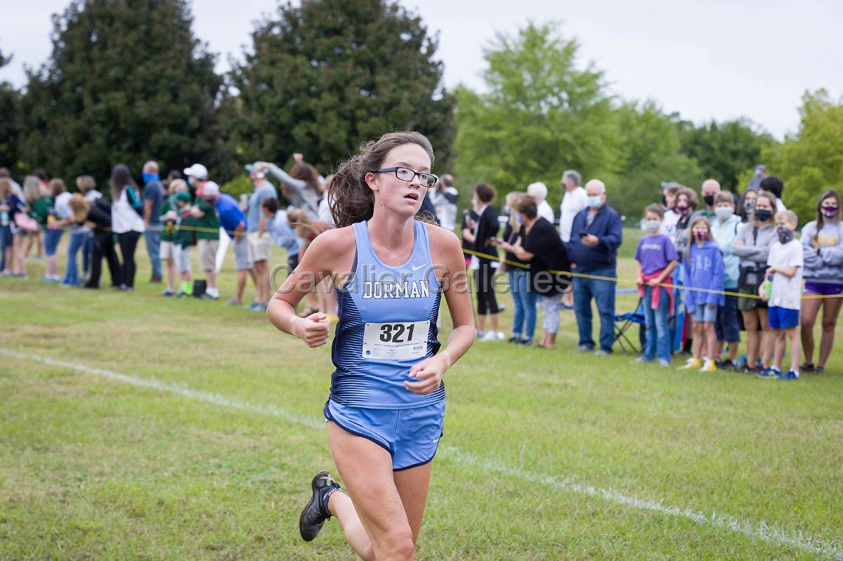 Dorman Classic XC-440.jpg