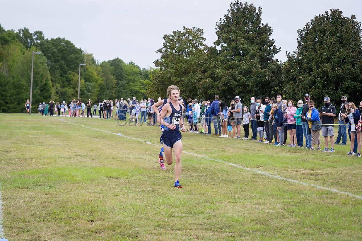 Dorman Classic XC-559.jpg