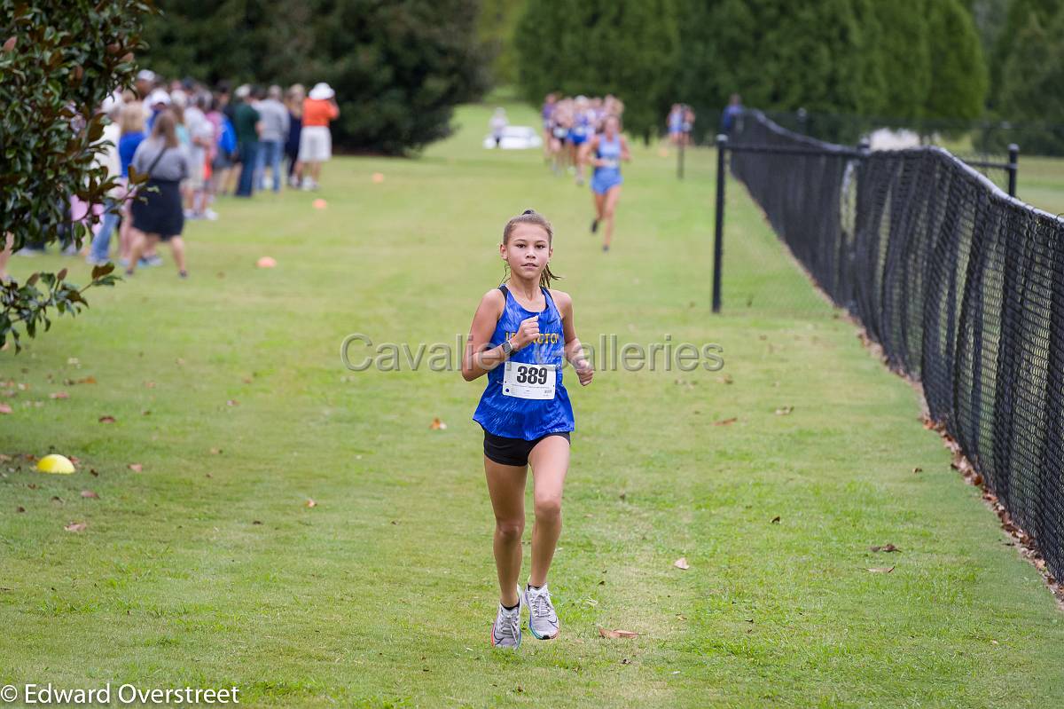 Dorman Classic XC-72.jpg