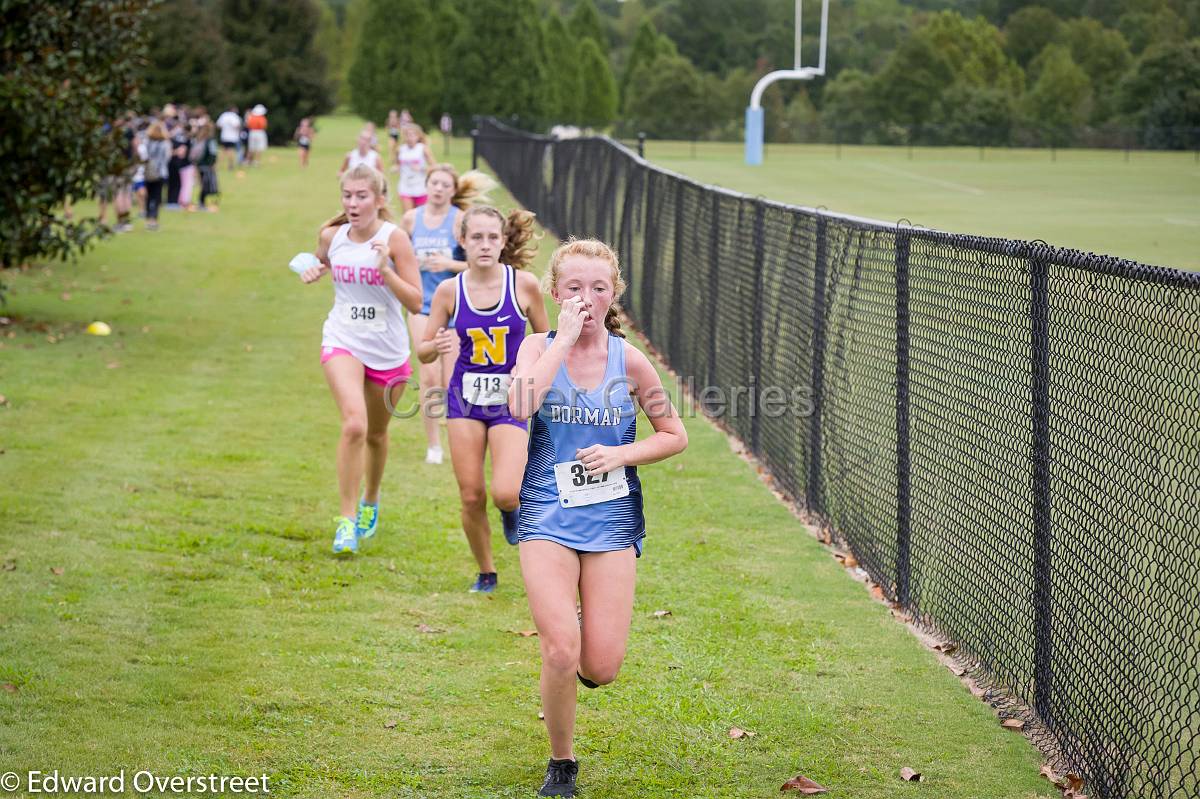 Dorman Classic XC-99.jpg